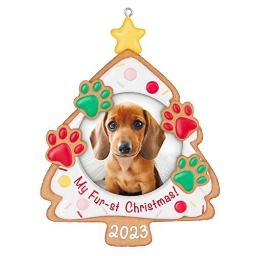 the best Christmas gifts for my pets- pack in one day